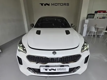 수입차 국산차 유리 교환 전문점 인천 TN모터스 2020년 기아 스팅어 전면 유리 교환 작업 리뷰입니다. / 인천 남동