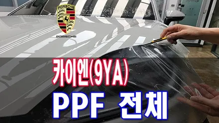 일산 PPF 믿고 맡길 수 있는 곳? 테크닉 추천 / 전주시 덕진구