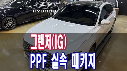 자동차 PPF 필름 어떤 걸 선택해야 할까? / 전주시 덕진구