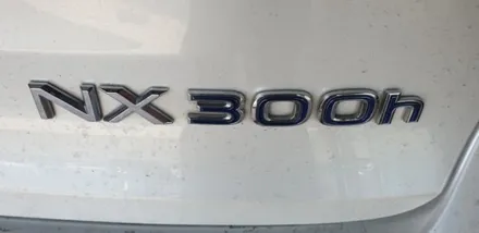 천안엠비언트,nx300h,RGB광섬유엠비언트,천안,아산,평택,청주,대전,세종,자동차튜닝,엠비언트무드등,튜닝,천안파이버테리어,실내무드등 / 천안 서북구