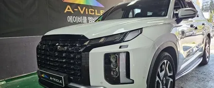 청주에서 방문 주신 더뉴팰리세이드 르블랑 차량의 변신한번 볼께요~ / 천안 서북구