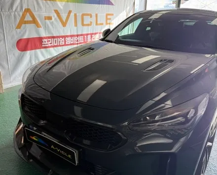 동탄 이보다 더 완벽할순 없다 스팅어마이스터 풀시공은 에이비클 천안 대전 / 천안 서북구