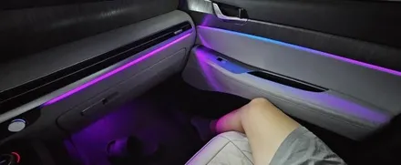 더뉴펠리세이드 카식스 에이비클 액티브 엠비언트라이트 르블랑 모델의 반격~!!! 이 시작된다~!! / 천안 서북구