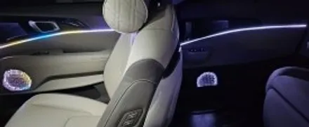 에이비클 엠비언트라이트로 중무장한 신형카니발ka4 체크포인트는? / 천안 서북구