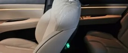 펠리세이드 르블랑 등급의 차량들은 모여주세요!!! 에이비클 엠비언트 확인~ / 천안 서북구