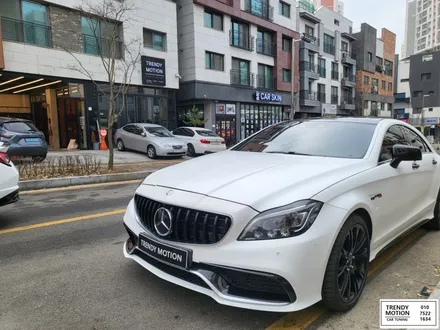 벤츠 CLS 63 amg GT세로그릴과 그릴망 장착 / 인천 서구, 부평, 부천