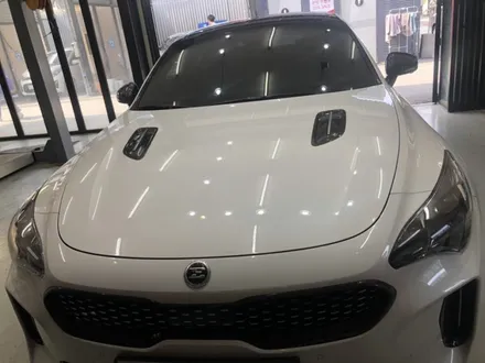 [별내랩핑샵]tsmotors/스팅어루프스킨,필러랩핑 그릴포인트랩핑작업/남양주랩핑/스팅어랩핑 / 경기 화성