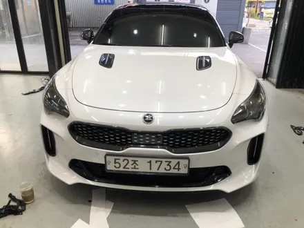 [별내랩핑샵]tsmotors/스팅어루프스킨,필러랩핑 그릴포인트랩핑작업/남양주랩핑/스팅어랩핑 / 경기 화성