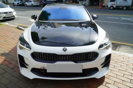 스팅어 크롬 부분 카본 랩핑 시공 / 창원 의창구 서상동
