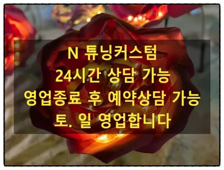 렉서스 es300h 범퍼 립댐 작업으로 다운 포스 만들어보자!!! / 동대문구 장안동