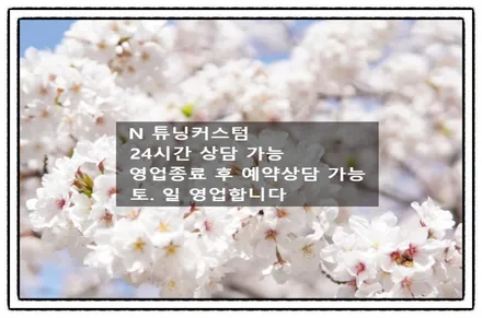 벨로스터 n 레드 몰딩 블랙 랩핑 하면 더 이뻐질까?? / 동대문,광진구,중랑구
