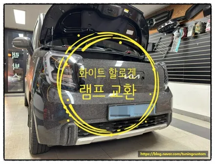 레이 화이트 전조등 교환 작업. / 동대문구 장안동