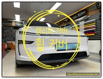 테슬라 모델y 브레이크 캘리퍼 커버. 휠 커버 부착으로 변신해 보자!! / 동대문구 장안동