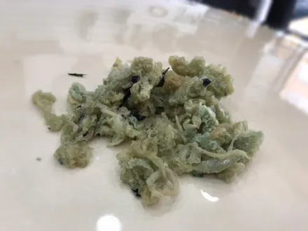 인피니티 q50 랩핑제거 해보자.왕십리랩핑전문점.튜닝커스텀 / 동대문구 장안동