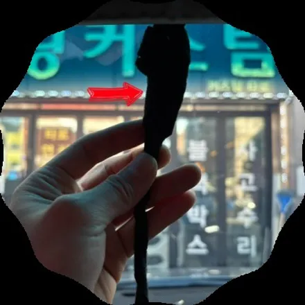 싼타페 dm 후방카메라 전용 룸미러 모니터 장착!! / 동대문구 장안동