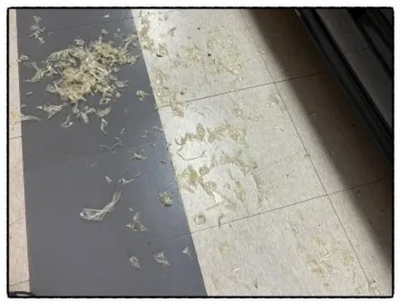 아우디 a6 조수석 도어 쪽 사고로 ppf 제거 후 판금 도색 진행해 보자!! / 동대문구 장안동