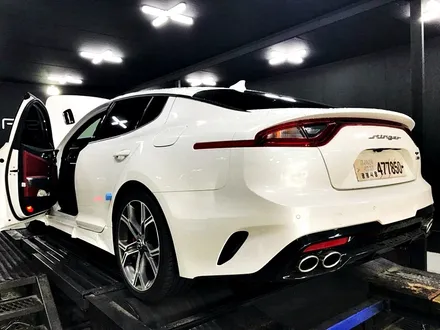 스팅어 3.3 gt awd 4륜 풀타입 엉클칩 고급유 세팅 / 안산 상록