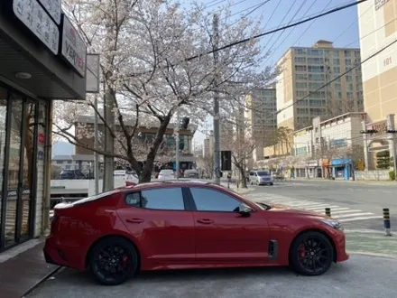 장유썬팅   장유브이쿨 전문점 시공은 다릅니다 스팅어 브이쿨K / 경남 김해