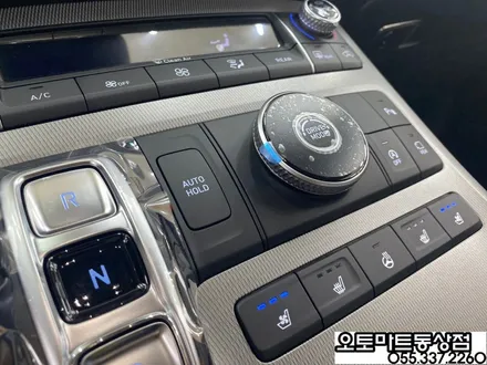 김해 팰리세이드 신차패키지 그릴망시공/화이트펄/ 가솔린/버텍스 시공 최고의 기술력을 찾아서~~ / 경남 김해