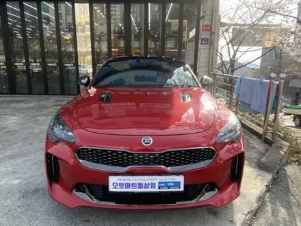 장유썬팅   장유브이쿨 전문점 시공은 다릅니다 스팅어 브이쿨K / 경남 김해