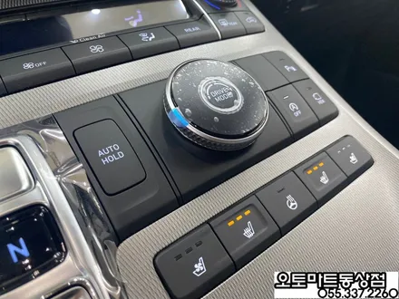 김해 팰리세이드 신차패키지 그릴망시공/화이트펄/ 가솔린/버텍스 시공 최고의 기술력을 찾아서~~ / 경남 김해
