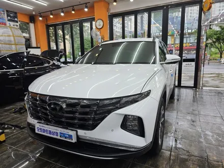 김해 투싼 NX4 전면+1열 썬팅재시공  블랙에서 반사필름으로~그랜저GN7 루마버텍스 매버릭MK 신차시공 / 경남 김해