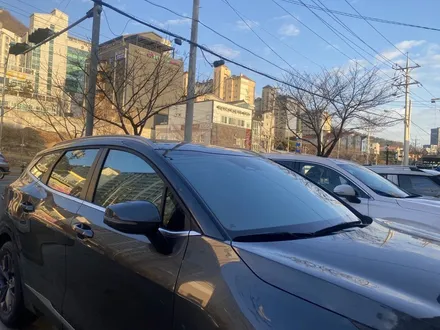 브이쿨K 그 신비로운 매력  더뉴팰리세이드화이트/스포티지그래비티그레이/투싼N라인 크리미화이트펄 양산 진영브이쿨썬팅 / 경남 김해