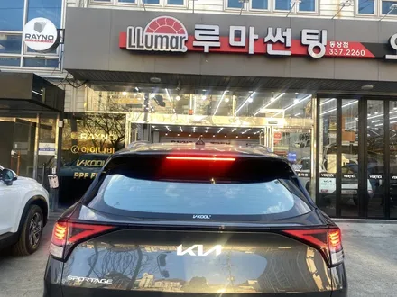 브이쿨K 그 신비로운 매력  더뉴팰리세이드화이트/스포티지그래비티그레이/투싼N라인 크리미화이트펄 양산 진영브이쿨썬팅 / 경남 김해