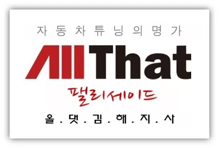 김해 팰리세이드 신차패키지(디럭스)작업1/김해오토마트동상점 / 경남 김해