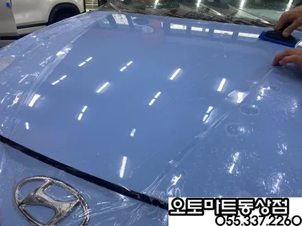 아반떼 N  퍼포먼스블루 차량 본넷PPF  라이트PPF 시공 김해 /진영/장유 / 경남 김해