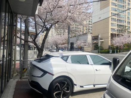 김해 벗꽃명소 동상동스타벅스옆 썬팅잘하는곳. 루마버텍스 브이쿨 레이노 레인보우 시공하러~ EV6 플래티넘그레이 토레스 쏘렌토 베뉴 포터 벤츠 K8몰려들다 / 경남 김해