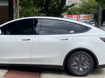 김해 테슬라 썬팅, 처음 입고된 모델 YL 그리고 브이쿨 TX의 완성도 / 경남 김해