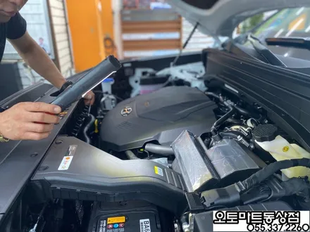 김해 팰리세이드 신차패키지 그릴망시공/화이트펄/ 가솔린/버텍스 시공 최고의 기술력을 찾아서~~ / 경남 김해