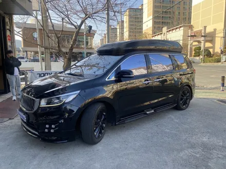 김해블락포디썬팅. 비바 스카이블루 올뉴카니발하이리무진 허니콤블라인드 BLOCKFORD VIVA SKYBLUE / 경남 김해