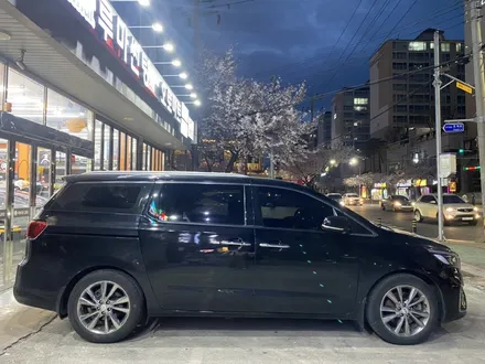 진영 썬팅과 네오가드 멀리서도 찾아오는곳  BMW523d GV80 더뉴카니발 i30 / 경남 김해
