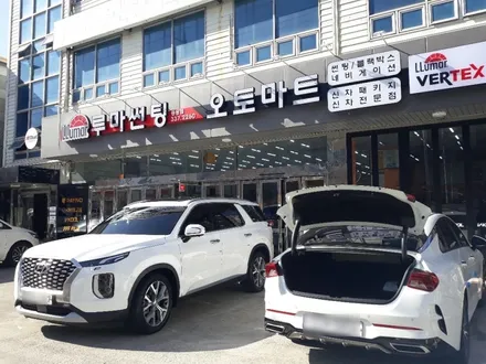 팰리세이드 루마버텍스900/700 신차패키지 가디언도어가드/경남 김해 장유 진영 창원 부산 양산 / 경남 김해