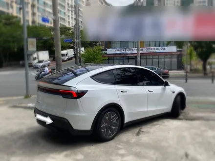 김해 테슬라 썬팅, 처음 입고된 모델 YL 그리고 브이쿨 TX의 완성도 / 경남 김해