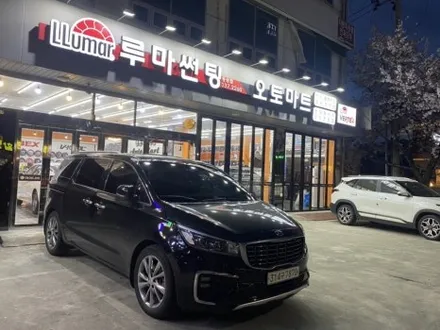 진영 썬팅과 네오가드 멀리서도 찾아오는곳  BMW523d GV80 더뉴카니발 i30 / 경남 김해