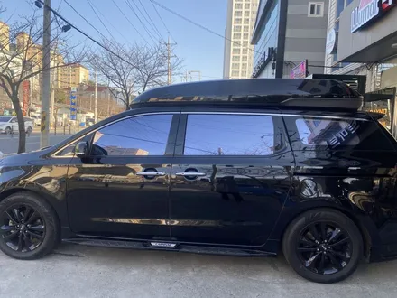 김해블락포디썬팅. 비바 스카이블루 올뉴카니발하이리무진 허니콤블라인드 BLOCKFORD VIVA SKYBLUE / 경남 김해