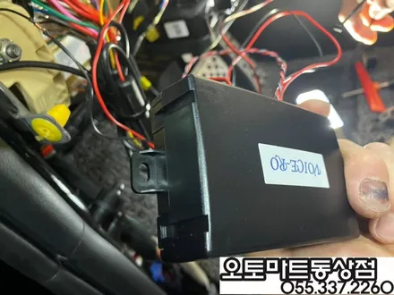블랙펄 카니발(KA4)의 변신/루마버텍스900풀시공 아이나비QXD5000,보이스로,오버헤드LED버튼,7인차박레일,범퍼PPF / 경남 김해