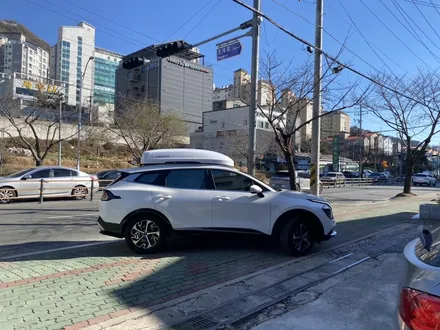 김해 대저 진영 양산 창원 마산 부산 경남 명지 스포티지 NQ5 코토 KHOTO 루프박스 / 경남 김해