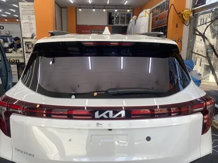 김해블락포디썬팅. 비바 스카이블루 올뉴카니발하이리무진 허니콤블라인드 BLOCKFORD VIVA SKYBLUE / 경남 김해