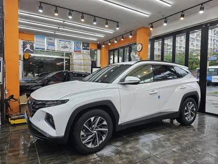 김해 투싼 NX4 전면+1열 썬팅재시공  블랙에서 반사필름으로~그랜저GN7 루마버텍스 매버릭MK 신차시공 / 경남 김해