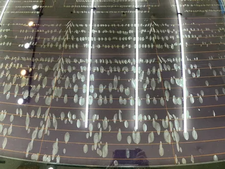 김해자동차썬팅 의 모든것 기포썬팅에서 신차썬팅까지 김해오토마트 동상점 / 경남 김해