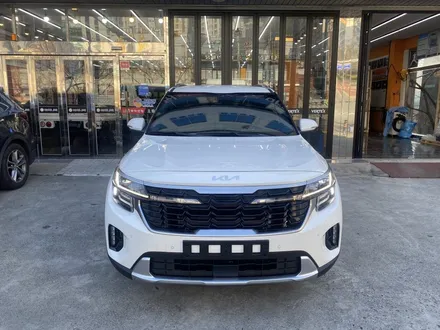 김해블락포디썬팅. 비바 스카이블루 올뉴카니발하이리무진 허니콤블라인드 BLOCKFORD VIVA SKYBLUE / 경남 김해