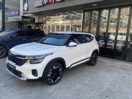 김해블락포디썬팅. 비바 스카이블루 올뉴카니발하이리무진 허니콤블라인드 BLOCKFORD VIVA SKYBLUE / 경남 김해