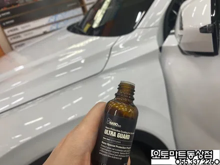 김해 팰리세이드 신차패키지 그릴망시공/화이트펄/ 가솔린/버텍스 시공 최고의 기술력을 찾아서~~ / 경남 김해