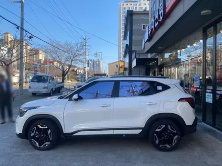 김해블락포디썬팅. 비바 스카이블루 올뉴카니발하이리무진 허니콤블라인드 BLOCKFORD VIVA SKYBLUE / 경남 김해