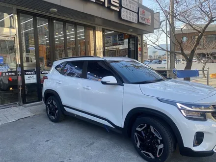 김해블락포디썬팅. 비바 스카이블루 올뉴카니발하이리무진 허니콤블라인드 BLOCKFORD VIVA SKYBLUE / 경남 김해