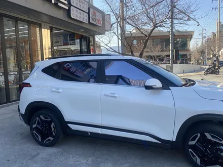김해블락포디썬팅. 비바 스카이블루 올뉴카니발하이리무진 허니콤블라인드 BLOCKFORD VIVA SKYBLUE / 경남 김해